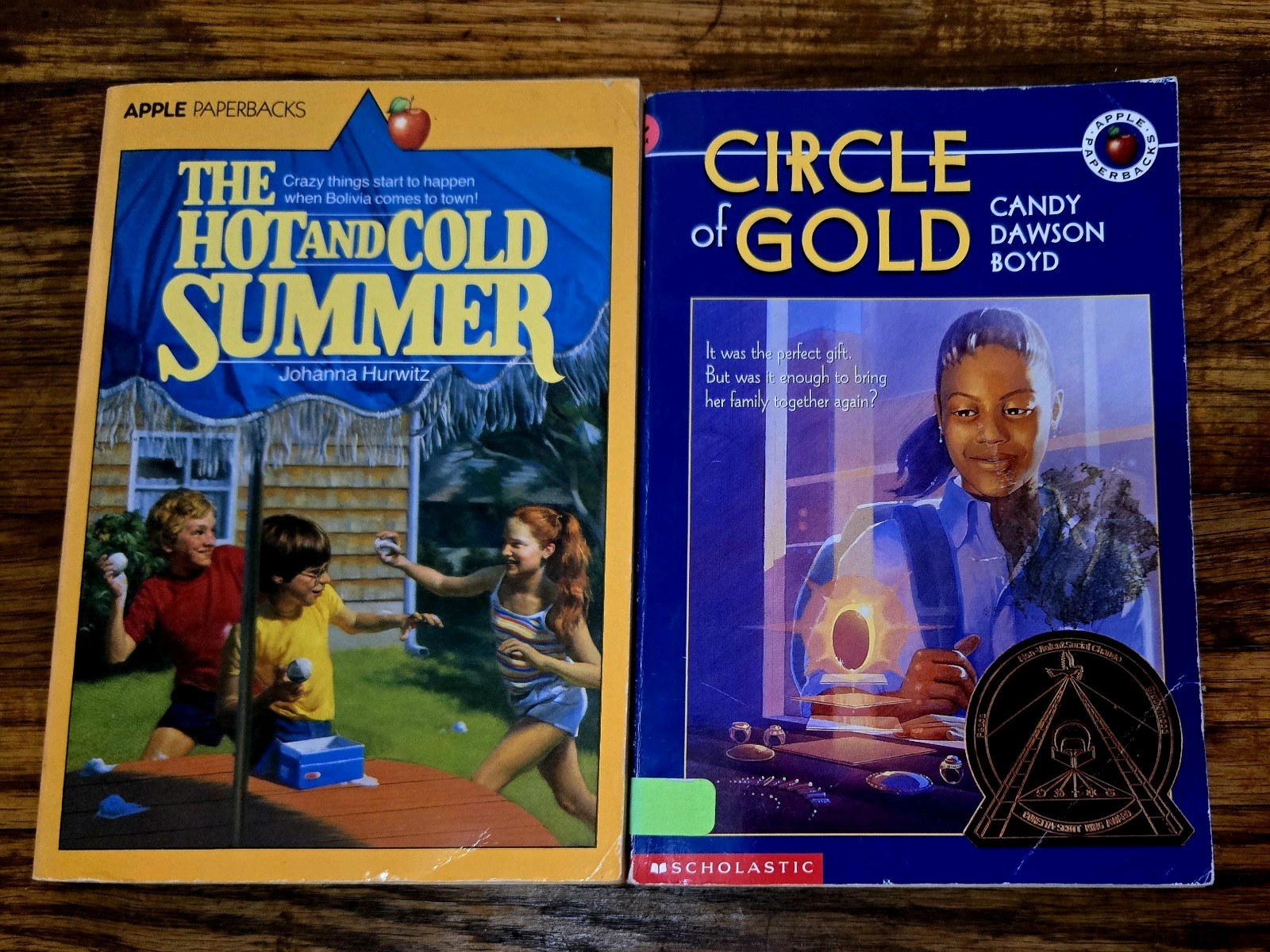 4th 5th Grade 20 Chapter Books Teacher Classroom Library Set Homeschool FB584
