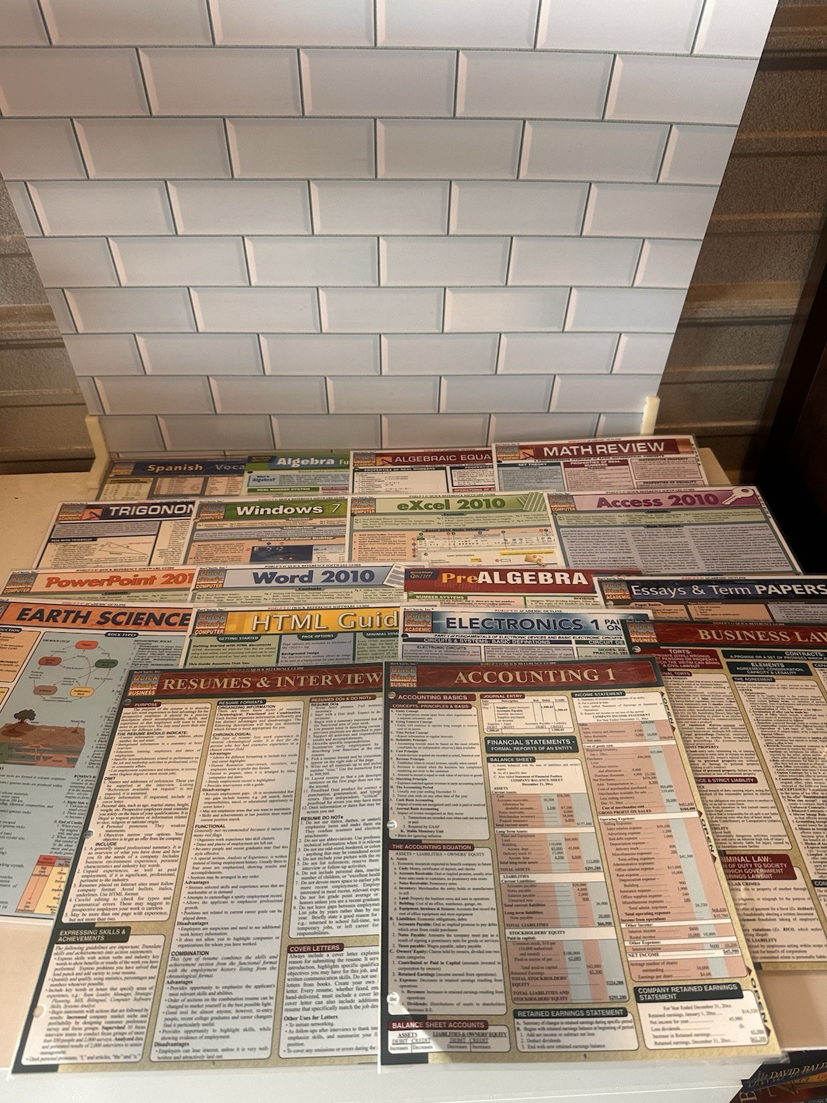Lot of 18 Laminated Study Guides QuickStudy & SparkCharts