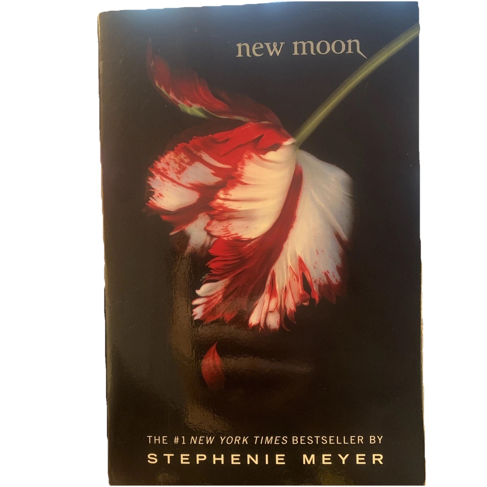 The Twilight Saga Ser.: New Moon by Stephenie Meyer (2008, Trade Paperback)
