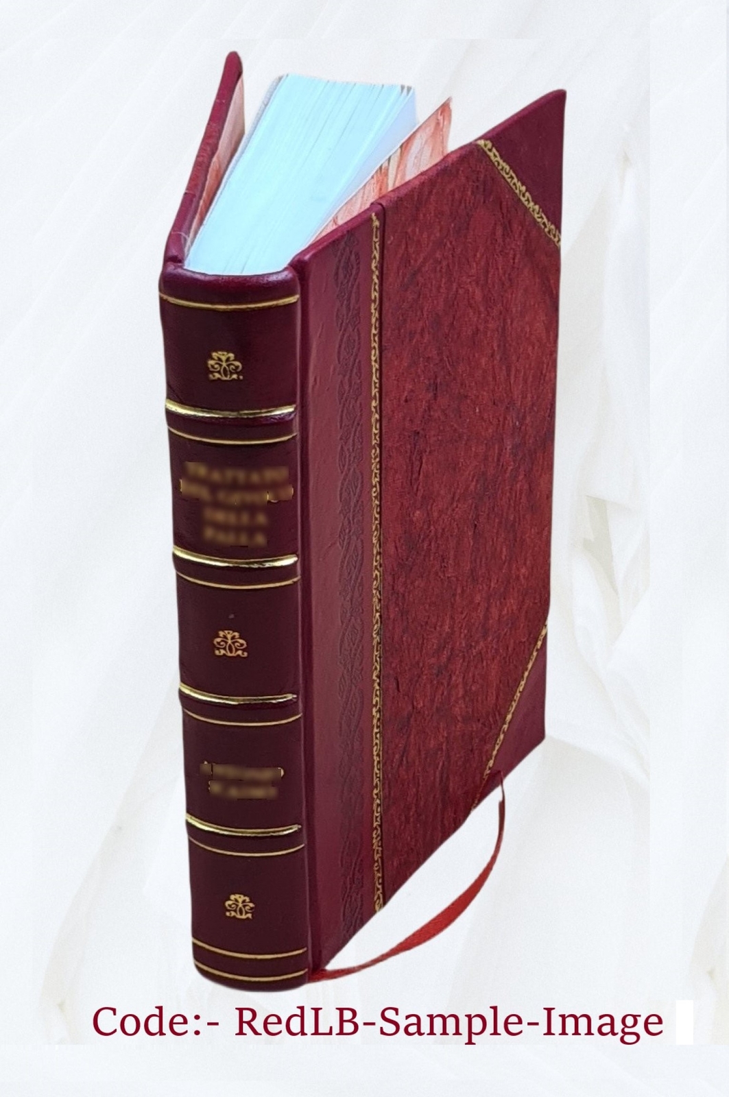 Atonement Soteriology 1888 By S. G. Burney [Leather Bound]