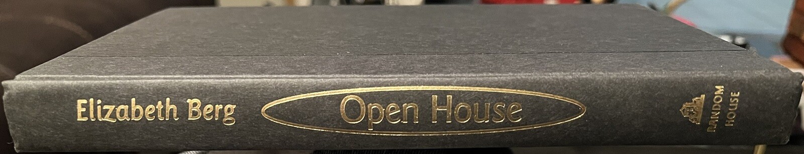 Open House~Elizabeth Berg~2000~Hardcover~Dust Jacket~241 pages~Oprah’s Book Club