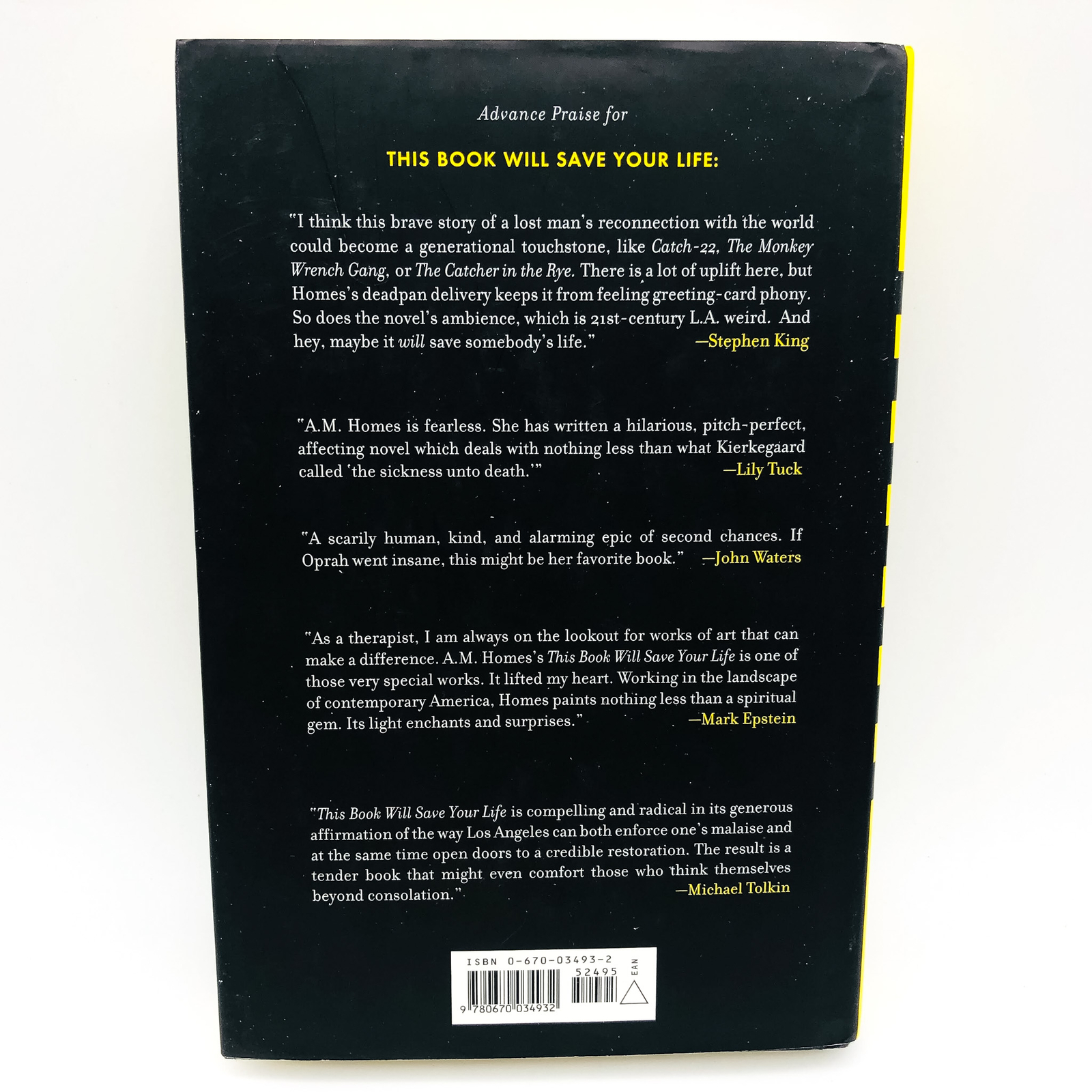 This Book Will Save Your Life Hardcover A. M. Homes 2006 Mid Life Crisis 1st EY