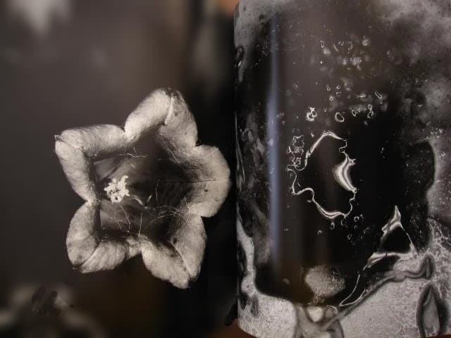 Nobuyoshi Araki “Erotos” Photo Book First edition Hardcover Japanese