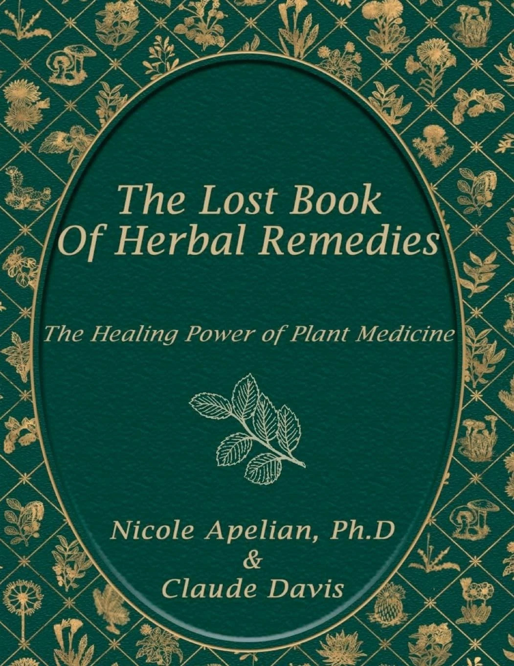 The Lost Book of Herbal Remedies Paperback Book