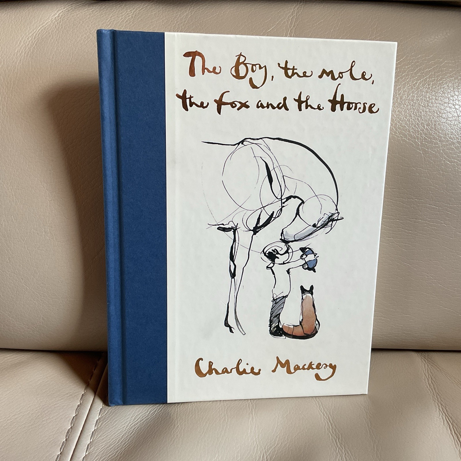 The Boy, the Mole, the Fox and the Horse ** Charlie Mackesy HC ** EXC CONDITION