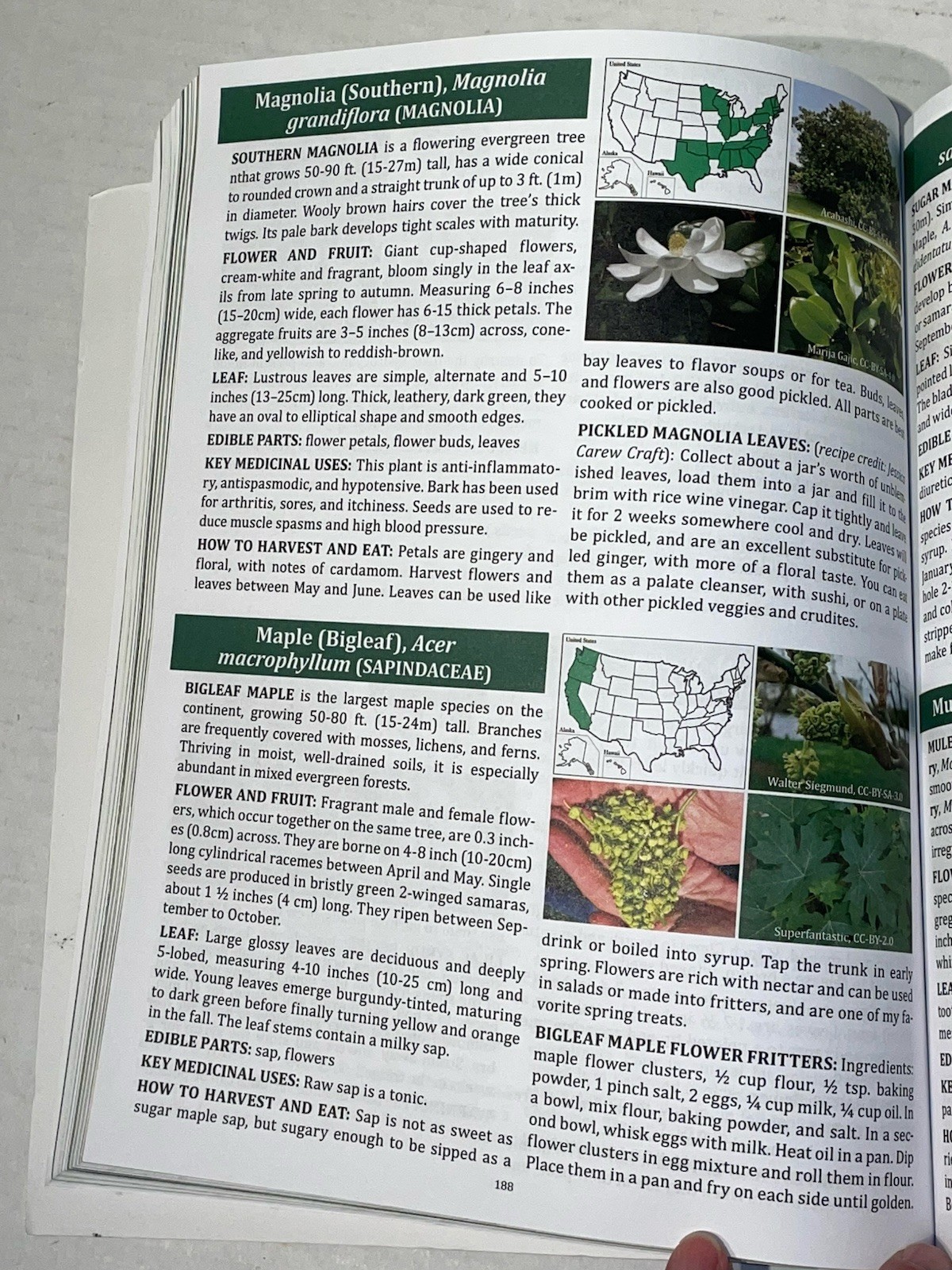 The Forager’s Guide to Wild Foods Book By Nicole Apelian, 2021 North American Ed