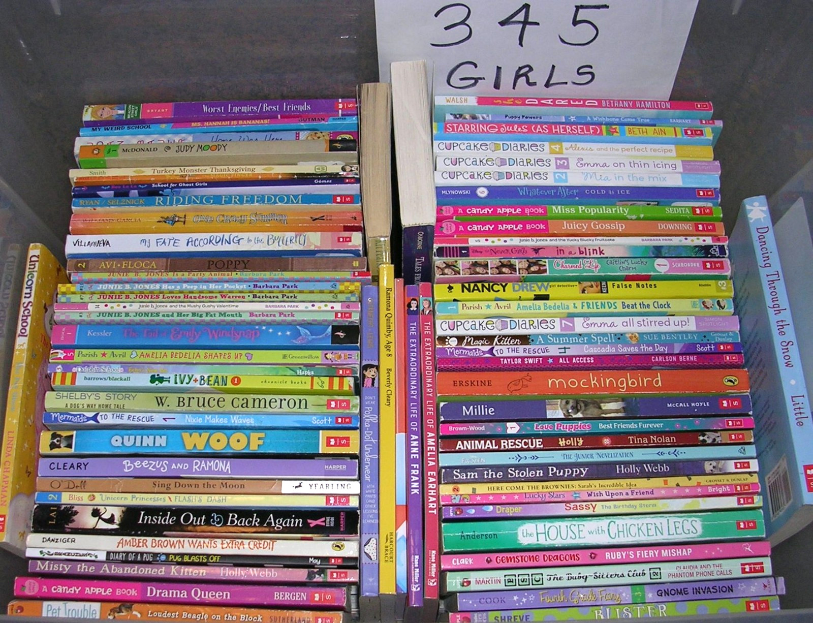 Random Lot 20 GIRLS Reading Level 3rd 4th 5th Grade Chapter Books FREE SHIP
